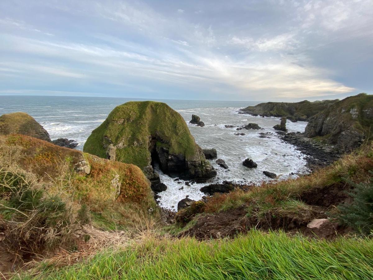 Toadhall Rooms Muchalls Exterior photo